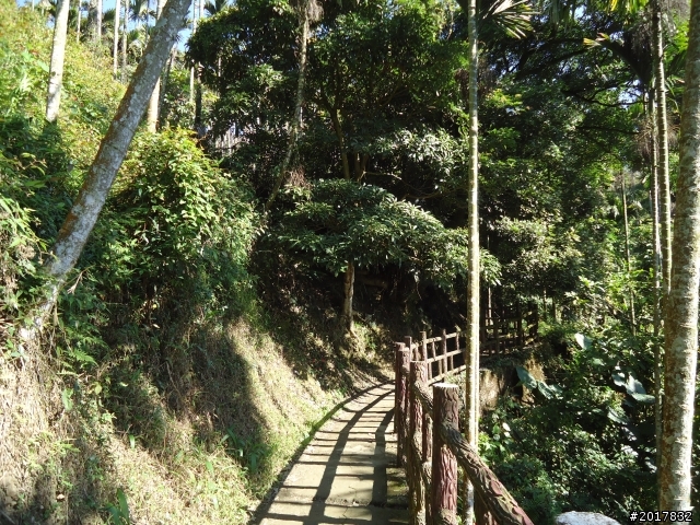 2012/01/27嘉義竹崎獨立山-大巃頂-安靖古道