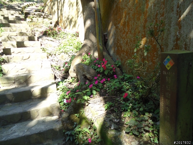 2012/01/27嘉義竹崎獨立山-大巃頂-安靖古道