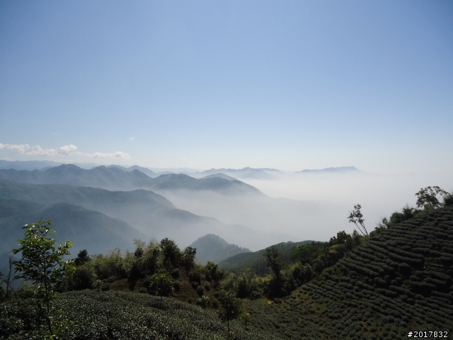 2012/01/27嘉義竹崎獨立山-大巃頂-安靖古道