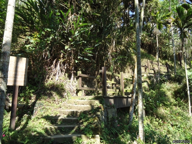 2012/01/27嘉義竹崎獨立山-大巃頂-安靖古道