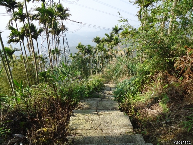 2012/01/27嘉義竹崎獨立山-大巃頂-安靖古道