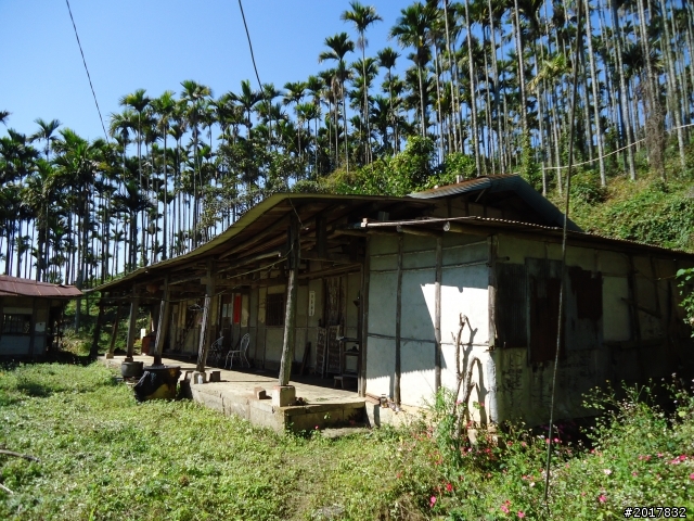 2012/01/27嘉義竹崎獨立山-大巃頂-安靖古道