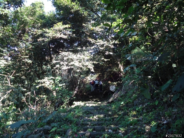 2012/01/27嘉義竹崎獨立山-大巃頂-安靖古道