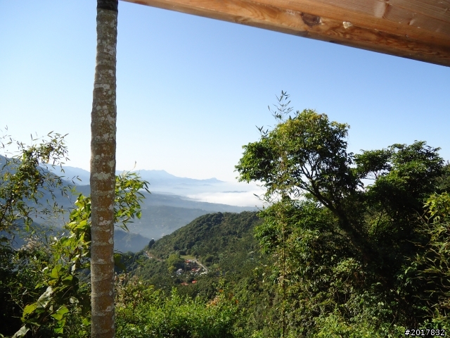 2012/01/27嘉義竹崎獨立山-大巃頂-安靖古道