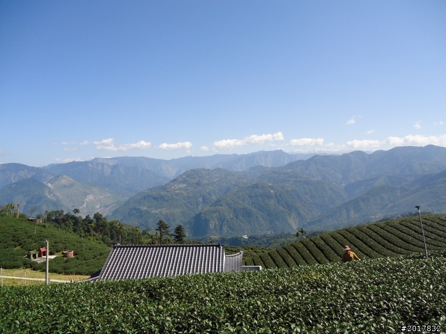 2012/01/27嘉義竹崎獨立山-大巃頂-安靖古道
