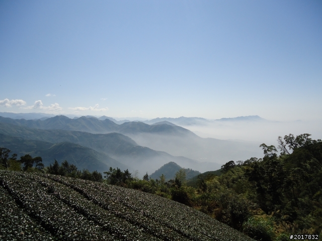 2012/01/27嘉義竹崎獨立山-大巃頂-安靖古道