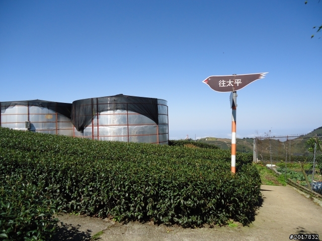 2012/01/27嘉義竹崎獨立山-大巃頂-安靖古道