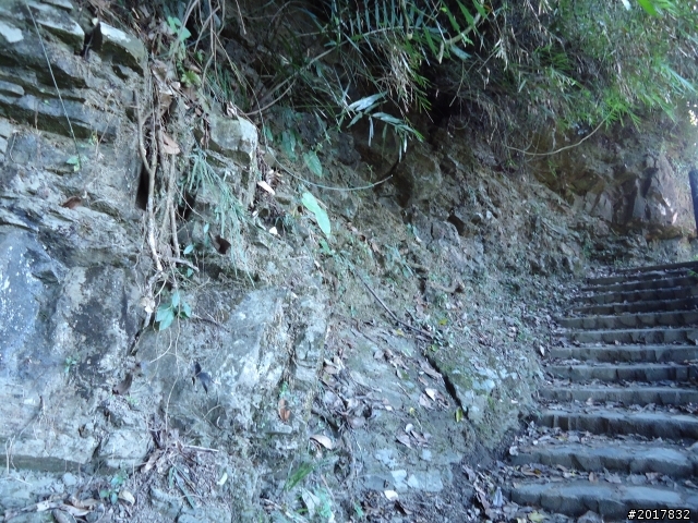 2012/01/27嘉義竹崎獨立山-大巃頂-安靖古道