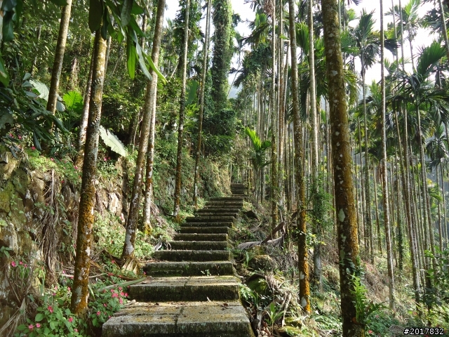 2012/01/27嘉義竹崎獨立山-大巃頂-安靖古道