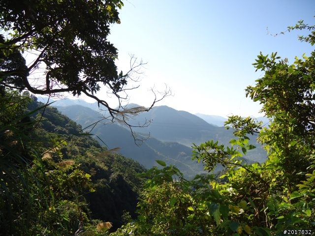 2012/01/27嘉義竹崎獨立山-大巃頂-安靖古道
