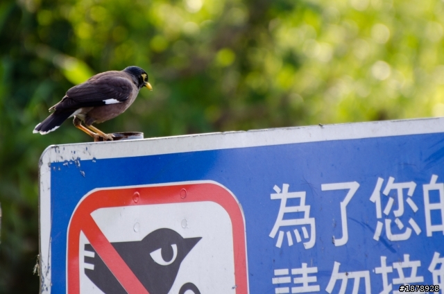 我的N 70-300 F4.5-5.6 入手開箱^^(1/29更新戶外照)