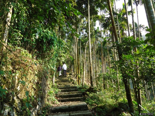 2012/01/27嘉義竹崎獨立山-大巃頂-安靖古道