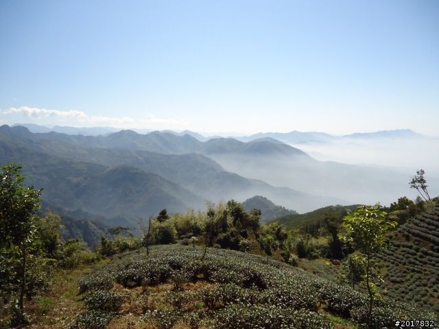 2012/01/27嘉義竹崎獨立山-大巃頂-安靖古道
