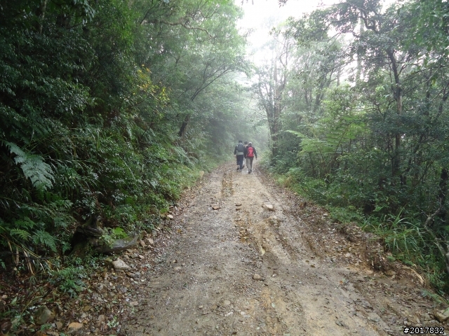 2012-2-26大漢林道浸水營古道之旅