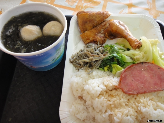 金牌妹帶你賞櫻花之大坑之惠蓀之武陵農場美到暴!!!