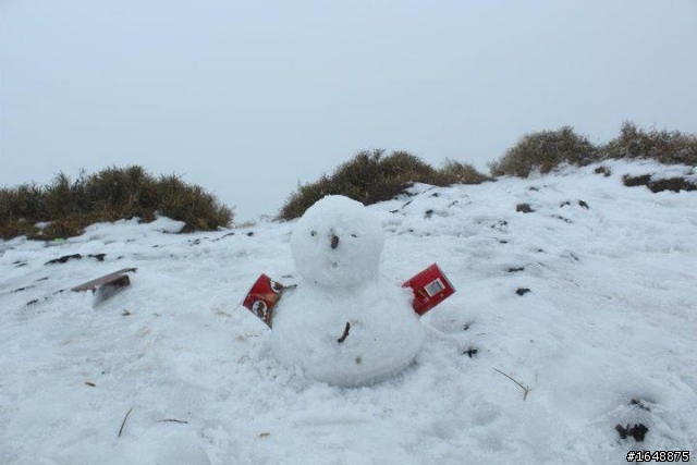【遊記】人生第一次雪見武嶺