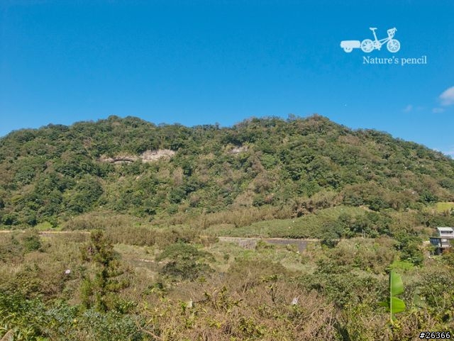 【一個人的旅行】單車賞春櫻【平溪、雙溪、不厭亭、金瓜石、九份、侯硐】