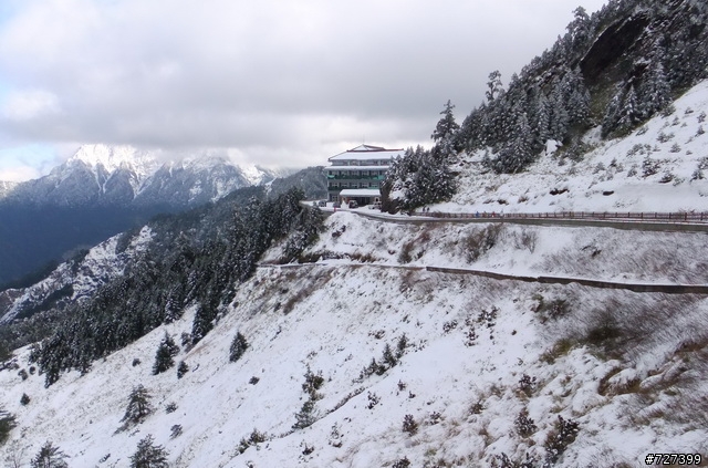 Hello合歡山!!雪季來看您~~(勁戰掛雪鏈攻頂成功!!附影片)