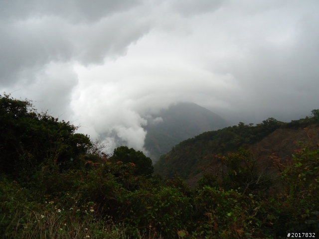 2012-2-26大漢林道浸水營古道之旅