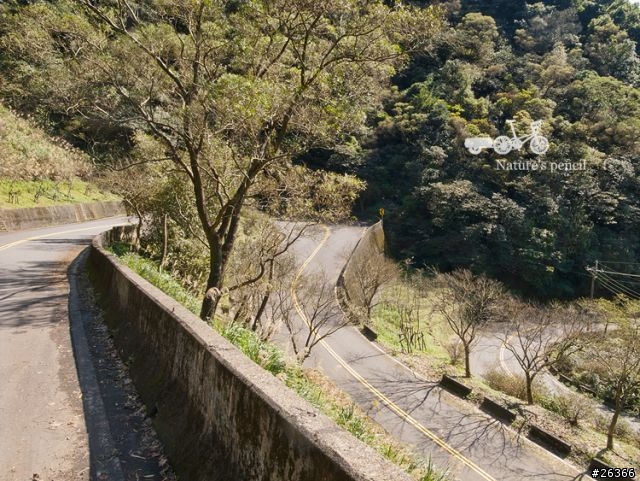 【一個人的旅行】單車賞春櫻【平溪、雙溪、不厭亭、金瓜石、九份、侯硐】