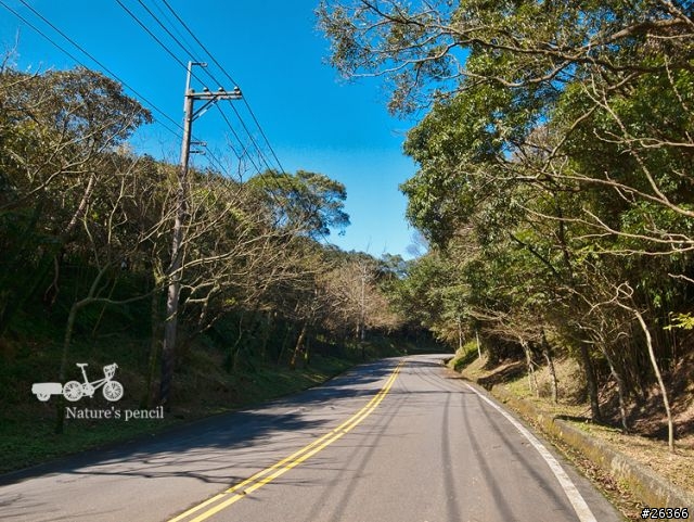 【一個人的旅行】單車賞春櫻【平溪、雙溪、不厭亭、金瓜石、九份、侯硐】