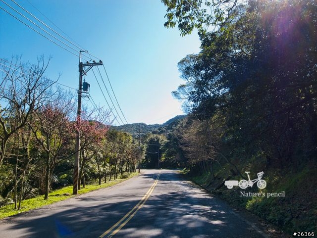 【一個人的旅行】單車賞春櫻【平溪、雙溪、不厭亭、金瓜石、九份、侯硐】