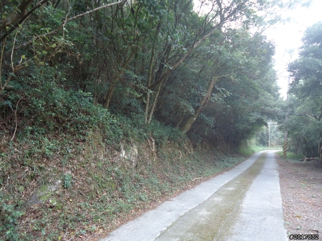 2012-2-26大漢林道浸水營古道之旅