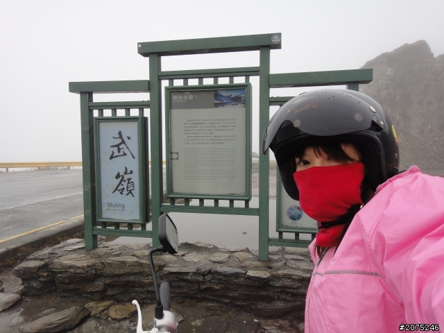 金牌妹帶你賞櫻花之大坑之惠蓀之武陵農場美到暴!!!