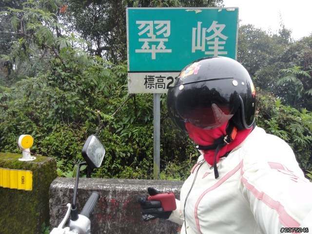 金牌妹帶你賞櫻花之大坑之惠蓀之武陵農場美到暴!!!
