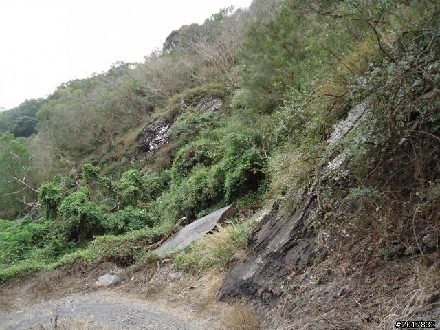 2012-2-26大漢林道浸水營古道之旅
