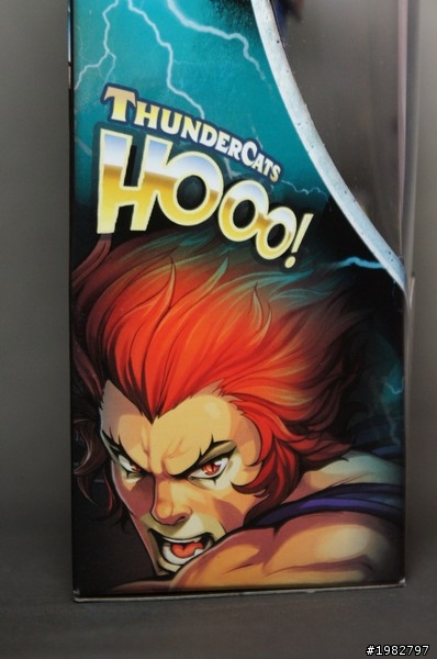 霹靂! 霹靂! 霹靂! 霹靂貓!! HO!!!!