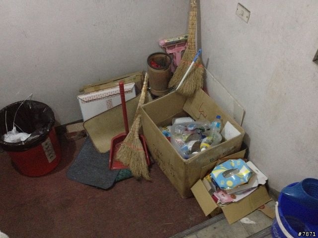 夜打 25 隻蚊子的"四星級格局"-高雄-現代飯店