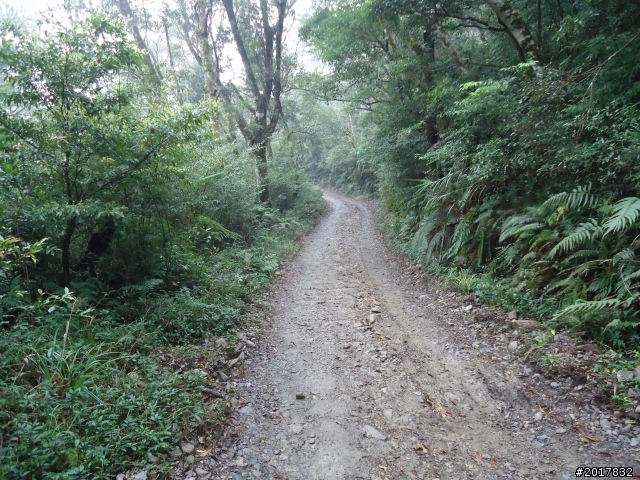 2012-2-26大漢林道浸水營古道之旅