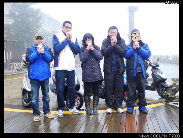 【0211-0212 綿羊團】殘念太平山 + 武陵農場之櫻花爆炸了