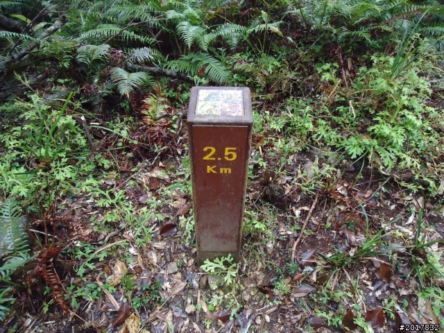 2012-2-26大漢林道浸水營古道之旅
