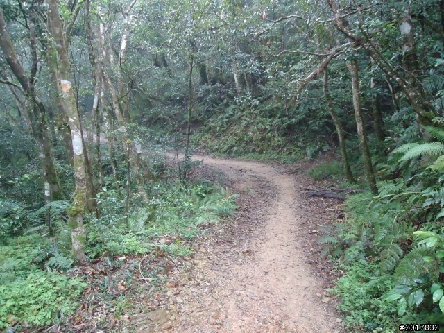 2012-2-26大漢林道浸水營古道之旅