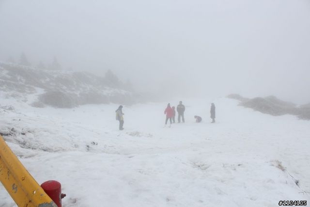 2012-02-04 武嶺合歡山盛況(171P)