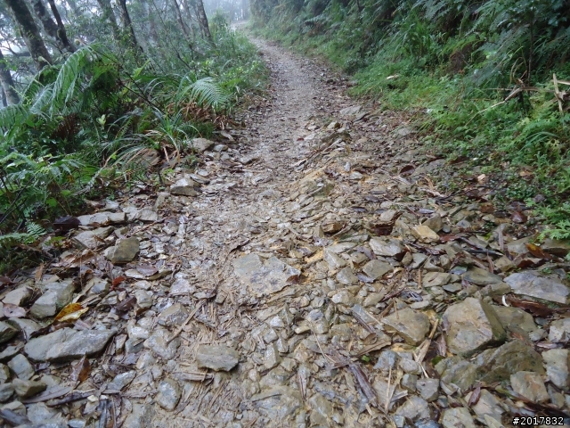 2012-2-26大漢林道浸水營古道之旅