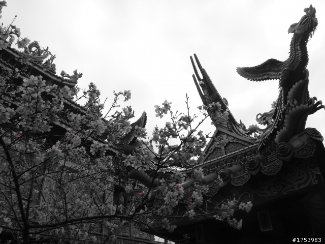 關渡&漁碼大玩效果XD