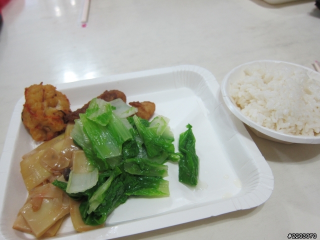 2012.02/04-02/14 -- 【衝阿~熱血吧!素食客】- 十一天環島之旅- one day