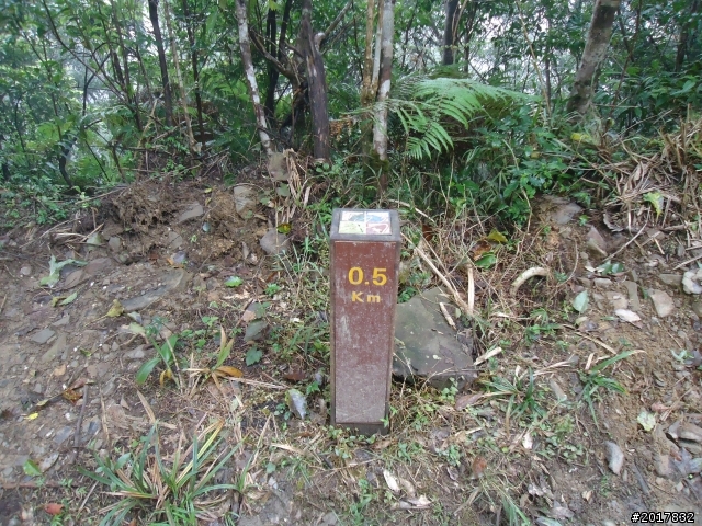 2012-2-26大漢林道浸水營古道之旅