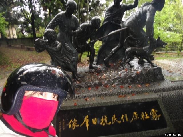 金牌妹帶你賞櫻花之大坑之惠蓀之武陵農場美到暴!!!