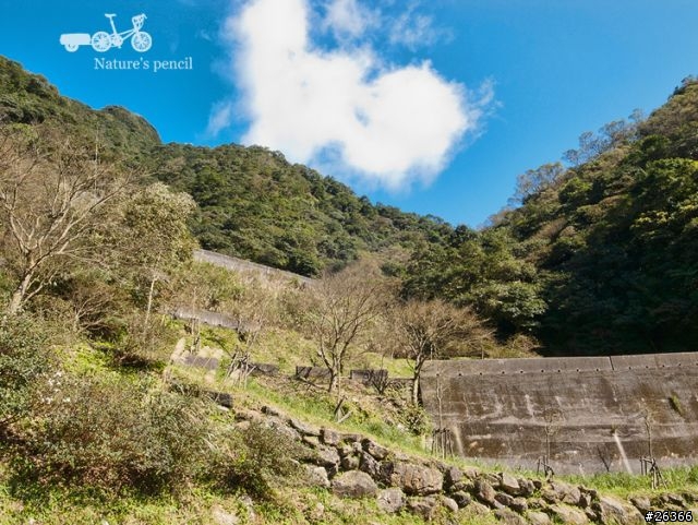 【一個人的旅行】單車賞春櫻【平溪、雙溪、不厭亭、金瓜石、九份、侯硐】