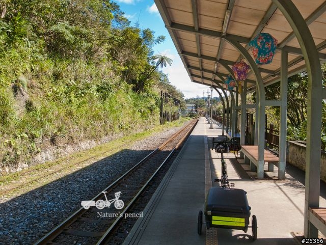 【一個人的旅行】單車賞春櫻【平溪、雙溪、不厭亭、金瓜石、九份、侯硐】
