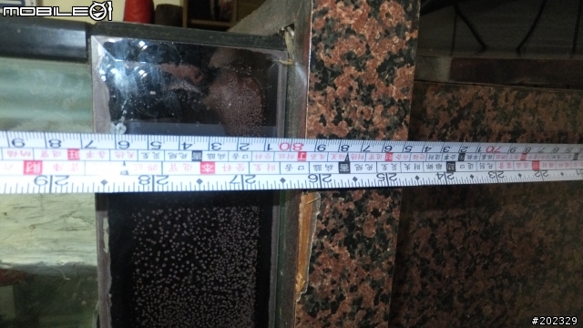 【請教】這種魚缸有人會想要嗎?--2/8更新