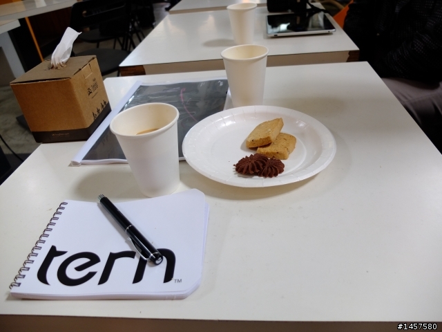 Tern 台灣正式報到分享