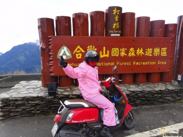 金牌妹帶你賞櫻花之大坑之惠蓀之武陵農場美到暴!!!