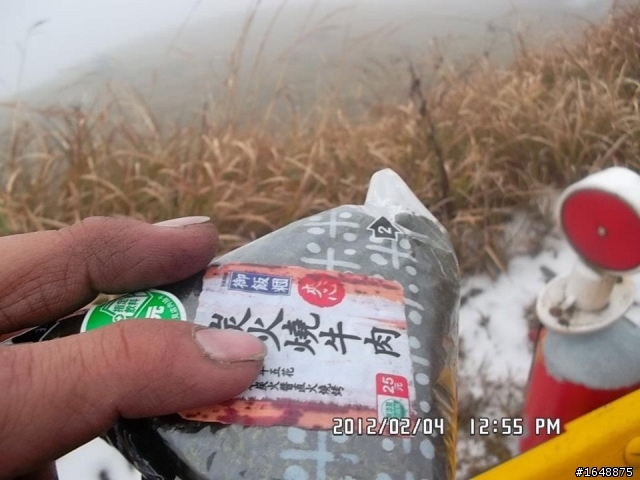 【遊記】人生第一次雪見武嶺