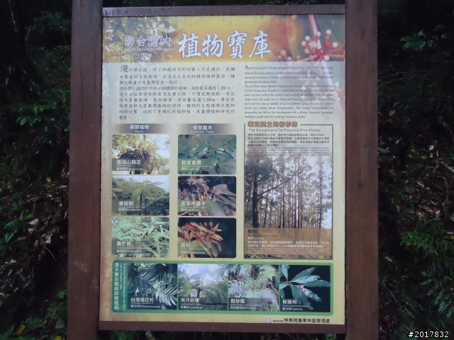 2012-2-26大漢林道浸水營古道之旅
