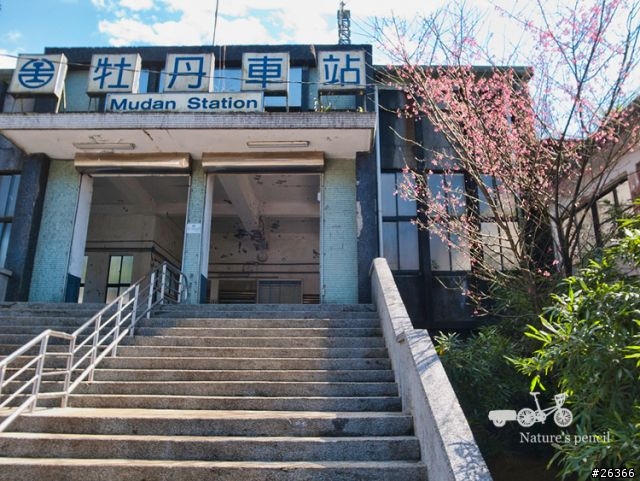 【一個人的旅行】單車賞春櫻【平溪、雙溪、不厭亭、金瓜石、九份、侯硐】